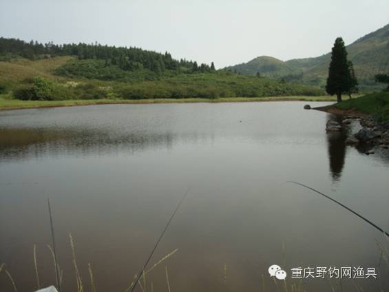 重庆夏天避暑钓鱼的圣地------白马山黄白淌