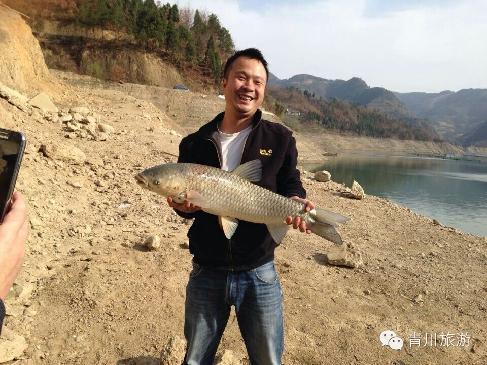 【旅途感悟】在青川白龙湖咋个才能钓到好鱼，戳这里——