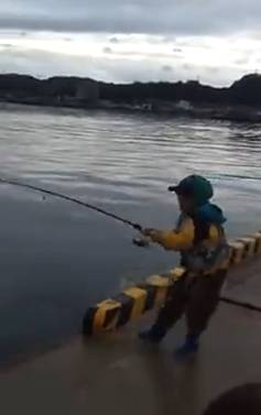 【钓鱼视频】人小鬼大 这钓鱼技术真不错