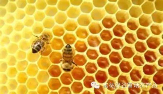 女人是不能随便乱吃蜂蜜的！——史上最全蜂蜜食用法