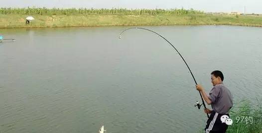 夏天钓鱼防断竿的几个注意事项