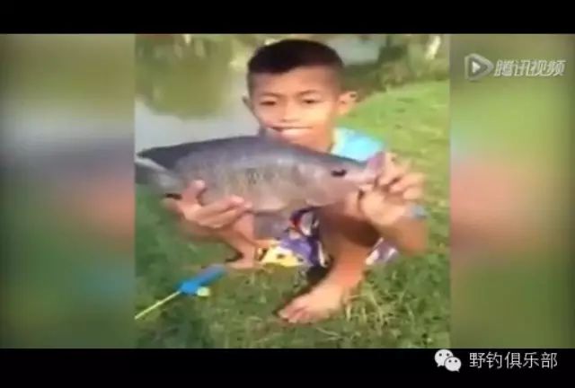 视频|现实版捕鱼达人！男童用玩具鱼竿钓起大鱼