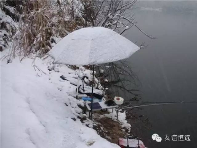 【冬钓支招】下雪了，坚持钓鱼