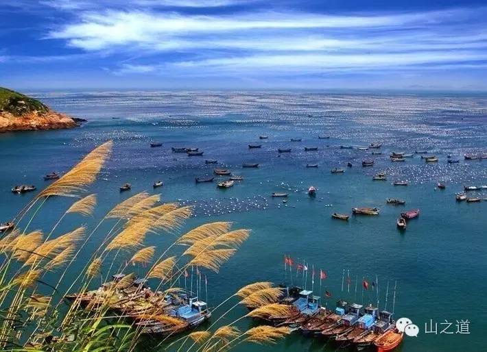 【避暑专线】 8月5-7日 离上海最近的碧海--纯美枸杞岛，蔚蓝大海、荒村绿屋、出海捕鱼深度之旅