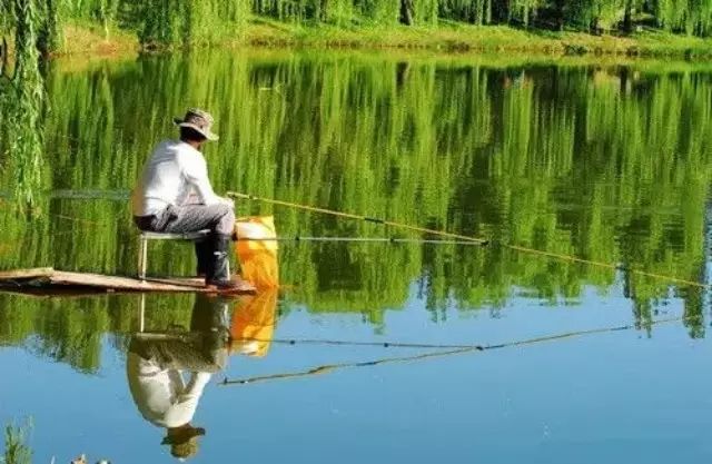 有关钓鱼不同环境钓鱼技巧的原则