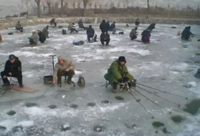 钓鱼达人的野外冰钓攻略分享