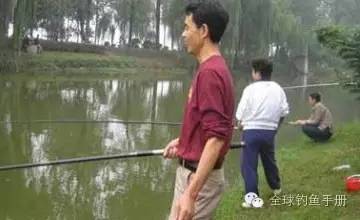 使用手竿钓鱼的各种方法