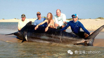 2013国际钓联（BigFish）入围海钓巨物纪录