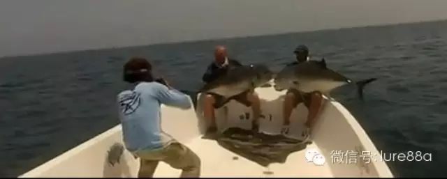 【视频】超刺激海钓，POPING路亚钓鱼。