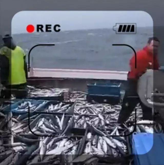 【渔趣视频】让人震惊的钓鱼方式，瞬间钓起一船！这绝对不是钓鱼科幻片！