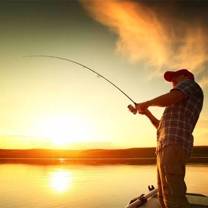 【钓鱼技巧】钓鲤鱼要善于应变，这几点知道，必增渔获！