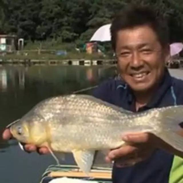 【钓鱼视频】日本黑拉钓手作钓秋季管理钓场