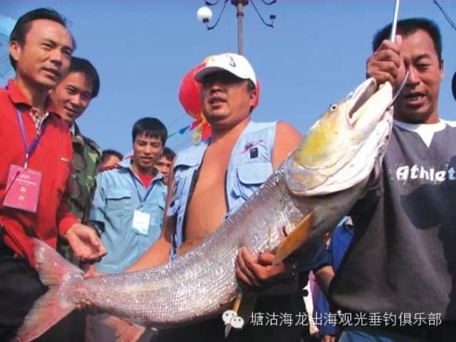 中国钓鱼名人录，钓鱼大师名人榜  你知道几个