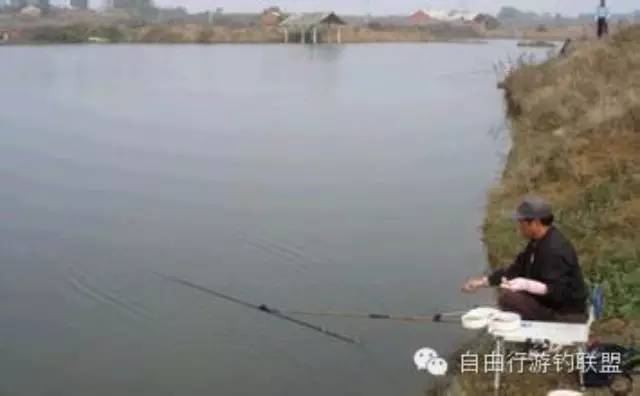 【分享】 钓鱼人也要有这样的能力 看人家小哥是怎么整的