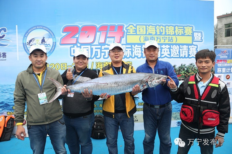 万宁海钓赛收杆 山东队钓上31.4斤重马鲛鱼