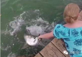 【钓鱼新闻】女子将手靠近水面喂鱼 一条鱼张开大口吞掉女子整只手