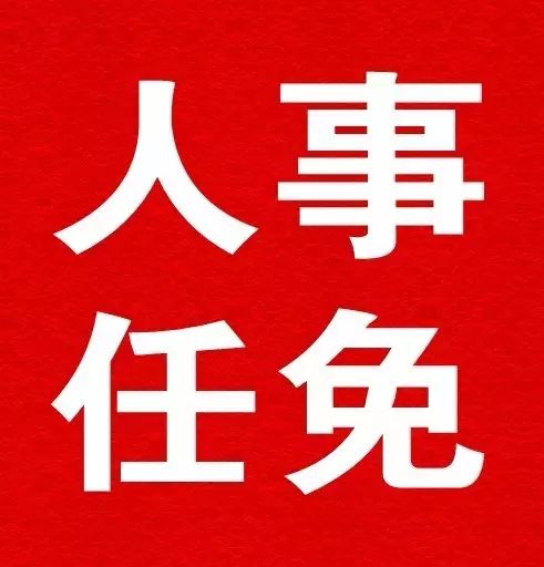 【发布】唐山市政府任免38名工作人员，涉及多个单位部门
