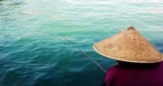 视频——钓鱼：水沟里一群大鲤鱼，扔个路亚饵下去试试
