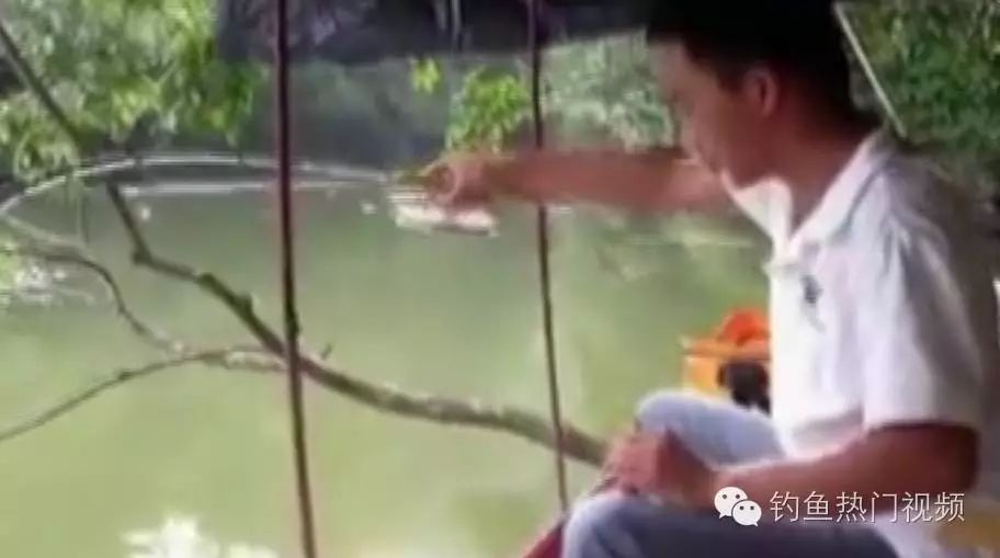 【钓鱼视频】野钓高手在池塘边钓大鱼