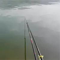 【钓鱼知识】钓鱼的时候，竿尖为什么要压入水中？