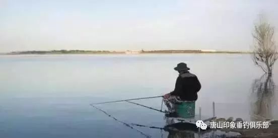 知道这些钓鱼术语的, 绝对钓界老司机!