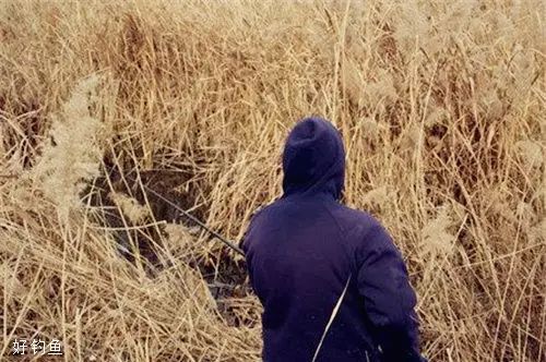 【钓鱼技巧】冬季水草边与草洞钓鲫鱼的个人总结