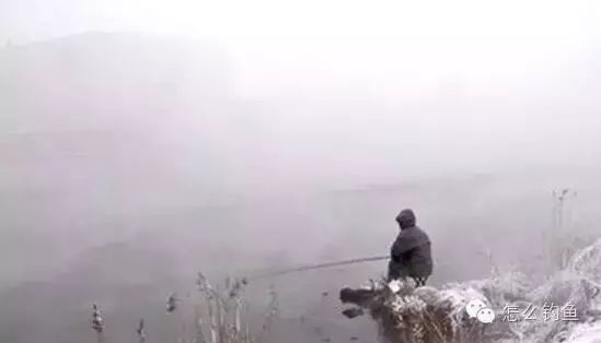 冬季诱鱼撒饵的技巧
