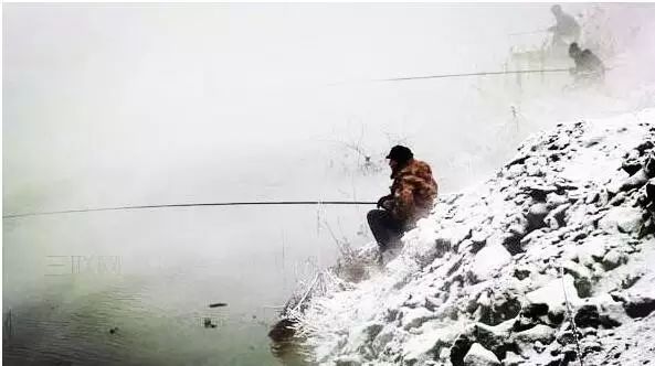 【钓鱼技巧】冬季，哪些时候需要半水钓？！