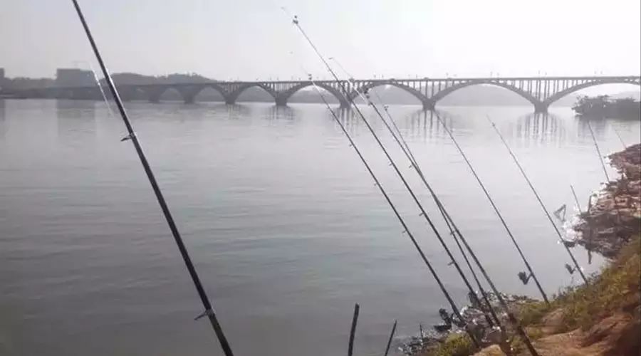 冬季钓鱼用竿和线组搭配技巧，可提高中鱼率