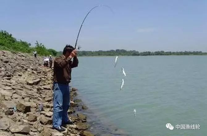 海竿钓鱼方法