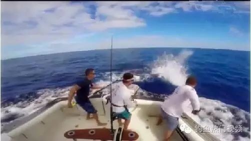 三名男子出海钓鱼，钓到金枪鱼，准备拉上来时惊险的一幕发生了