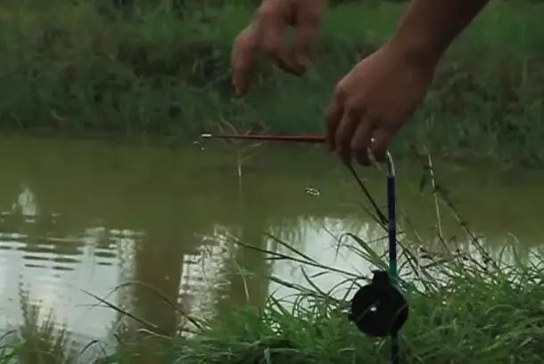 用这种竿钓鱼真的好玩，想买一个会不会很贵？