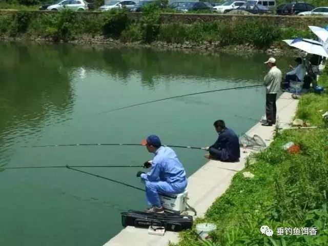【钓鱼技巧】如何选择春季最佳的钓鱼时间？