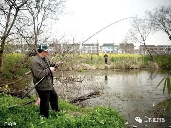 【钓鱼技巧】春季为啥钓鱼要钓草？
