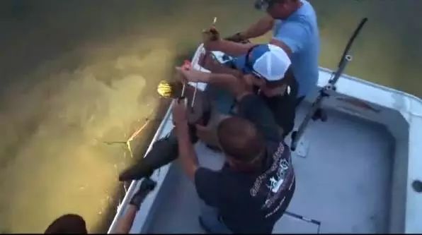 【视频】这种钓鱼方式，是想让鱼死么？