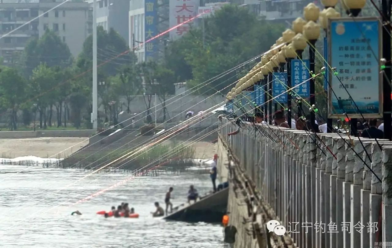 （新闻）武汉洪灾后惊现鱼窝，每人一天捞数百斤