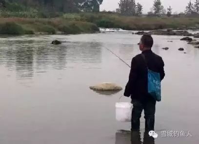 老头河里传统竹竿钓鱼，一分钟一条鱼
