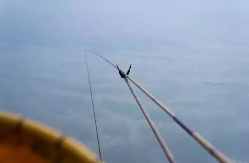 高手钓鱼常用的手法，你知道几种？