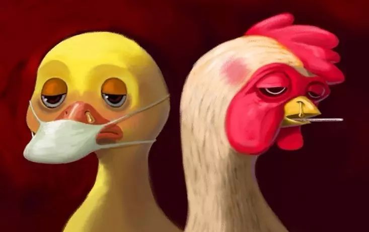 南京人注意了！1月份死亡数79例，禽流感病毒仍呈散发态势！