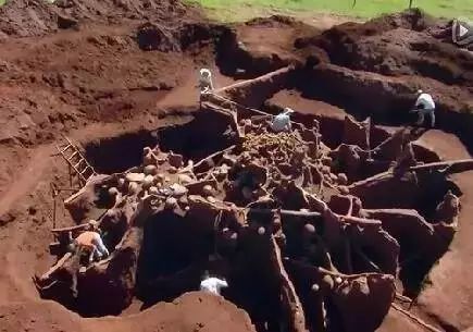 向蚂蚁窝灌4吨水泥，挖开后惊呆了
