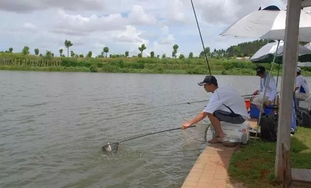 手竿钓鱼的两种基本方法