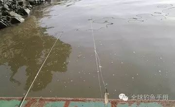 污水塘钓鱼的用饵技巧及钓法