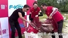 【视频】民间钓鱼高手黑坑钓青鱼PK赛