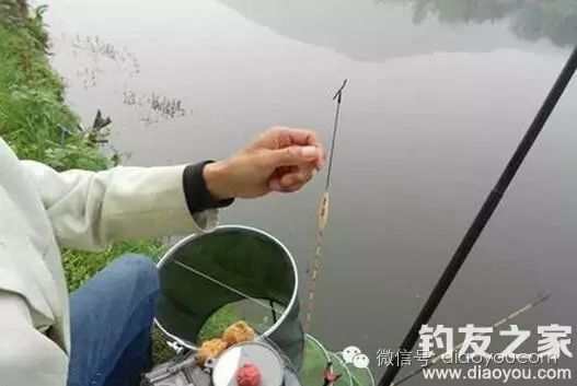 秋冬季节钓鱼如何调漂