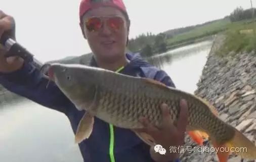 【视频】盛安水库爆连钓鲤鱼