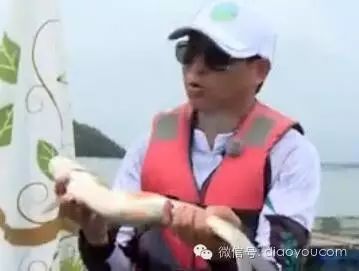 【视频】筏上爽钓红尾鱼