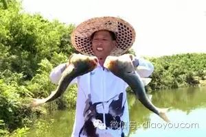 【视频】徐清华黄壁庄水库钓鲢鳙