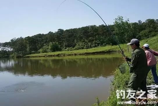 【技巧】春季水库钓鱼的六个选位技巧
