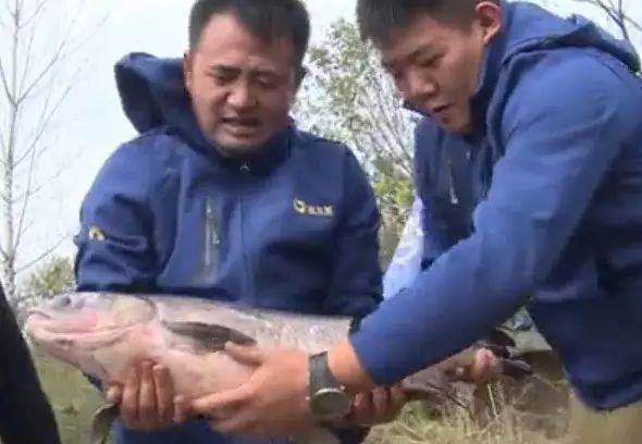 【视频】雨后抛竿钓获30斤大青鱼