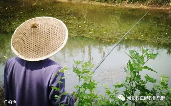 春季水草处钓鱼找底的技巧